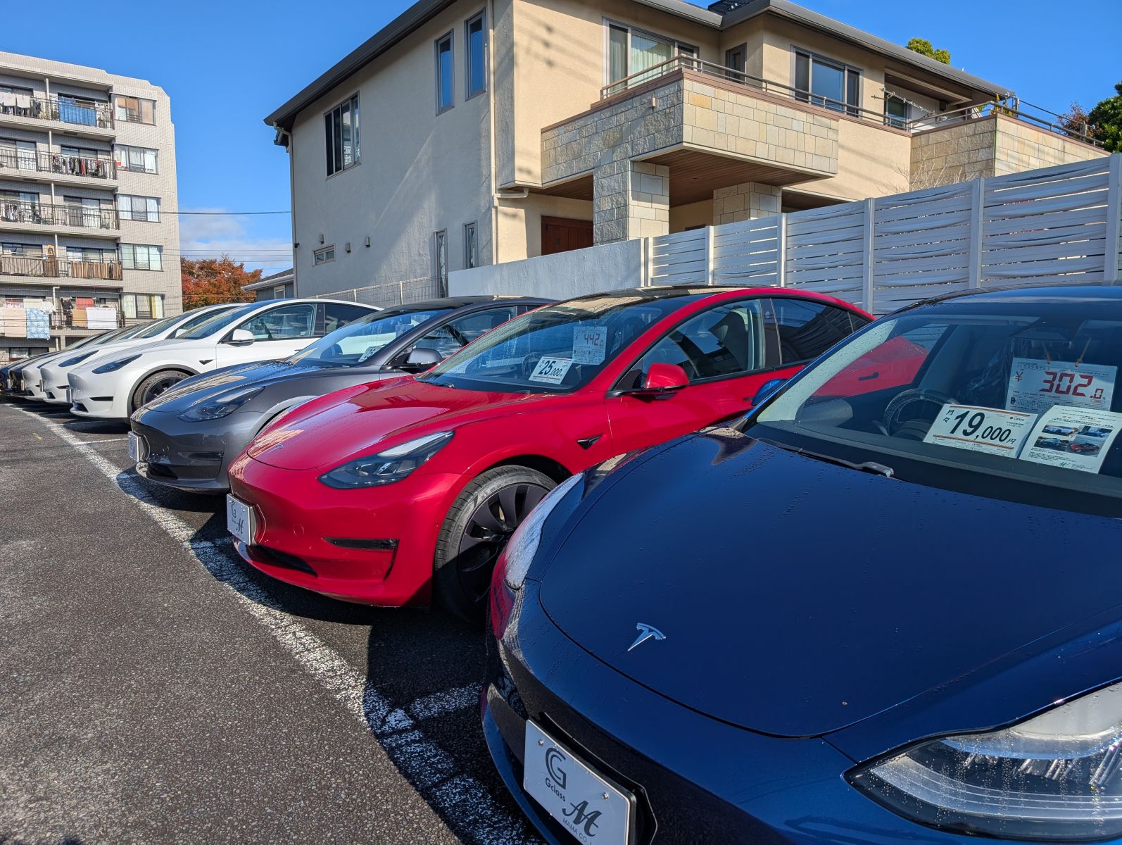 店舗前に並ぶテスラの中古車